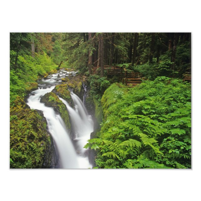 Impression Photo Chutes Sol Duc dans le parc national Olympique en (Devant)