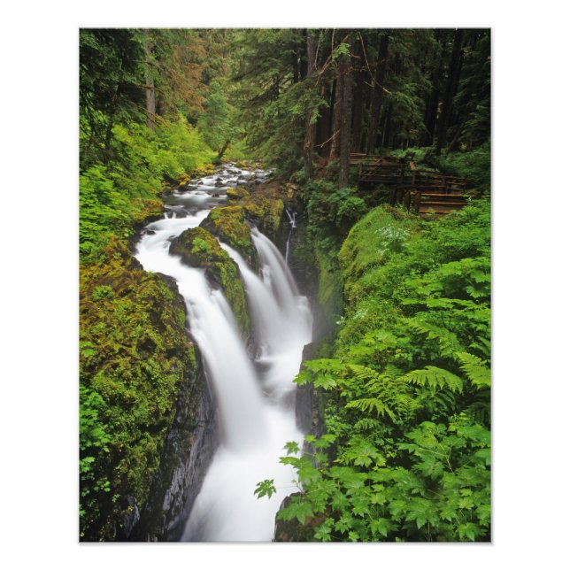 Impression Photo Chutes Sol Duc dans le parc national Olympique en  (Devant)