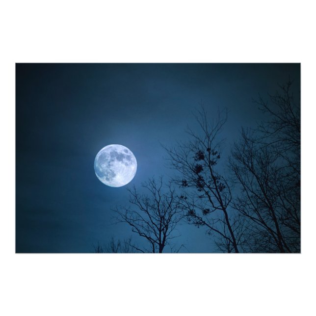 Impression Photo Ciel nocturne effrayant avec des arbres stériles e (Devant)