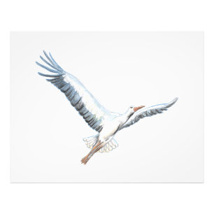 Impression Photo cigogne blanche volant