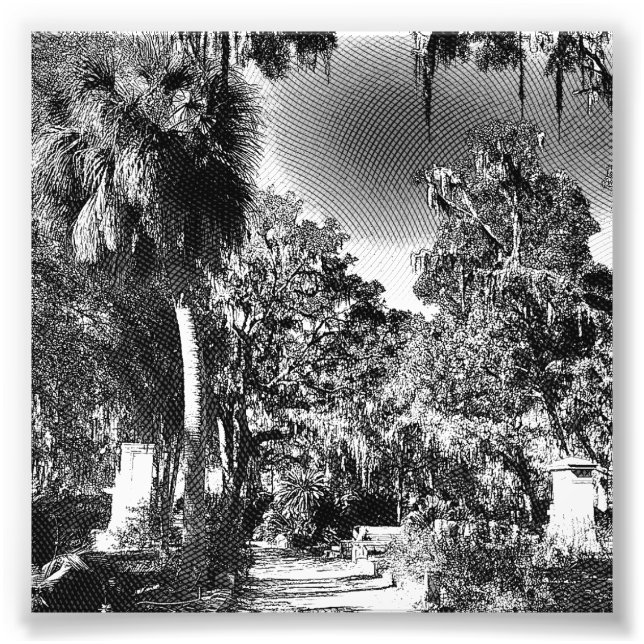 Impression Photo Cimetière colonial (Devant)