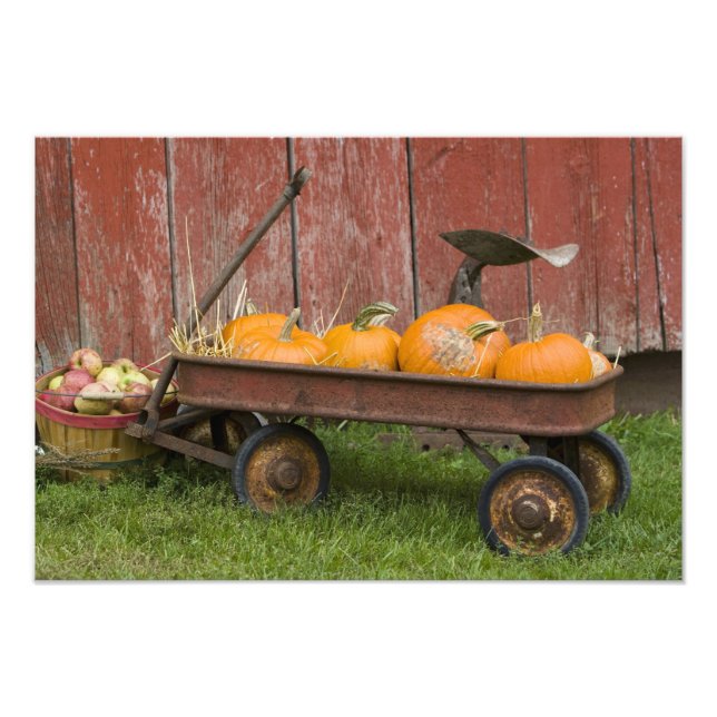 Impression Photo Citrouilles dans un vieux chariot (Devant)