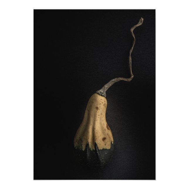 Impression Photo Citrouilles N° 12 Version couleur (Devant)