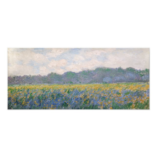 Impression Photo Claude Monet - Champ d'iris jaunes à Giverny (Devant)