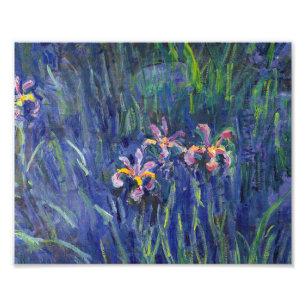 Impression Photo Claude Monet - Irises