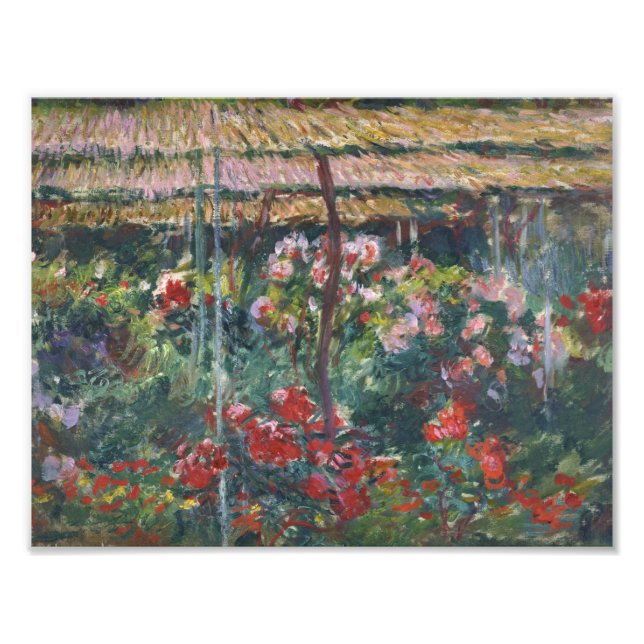 Impression Photo Claude Monet - Peony Garden (Devant)