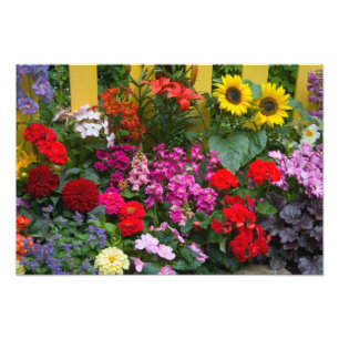 Impression Photo Clôture blanche avec jardin de fleurs en