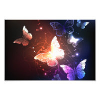 Clowing Night Butterflies