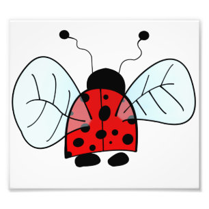 Impression Photo Coccinelle