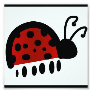 Impression Photo Coccinelle