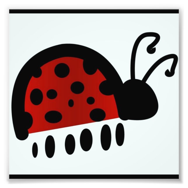 Impression Photo Coccinelle (Devant)