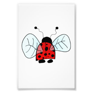 Impression Photo Coccinelle