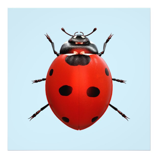Impression Photo Coccinelle Chanceuse (Devant)