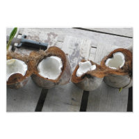 Cocotiers tropicaux, Bocas del Toro, Panama [Photo