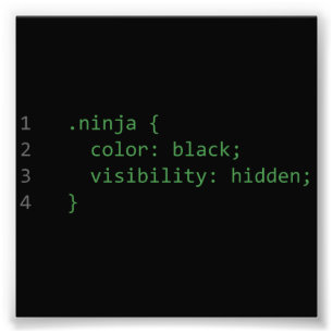 Impression Photo Code CSS Ninja