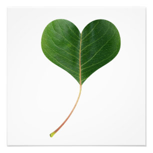 Impression Photo Coeur feuille