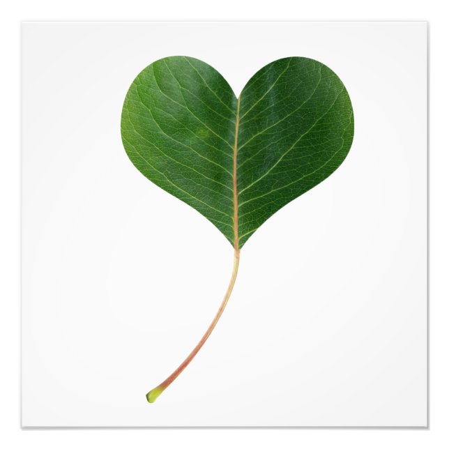 Impression Photo Coeur feuille (Devant)