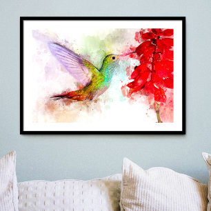 Impression Photo Colibri à l'aquarelle se nourrissant de fleur roug