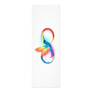 Impression Photo Colibri arc-en-ciel avec symbole Infinity