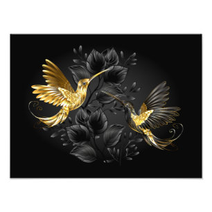 Impression Photo Colibri noir et or