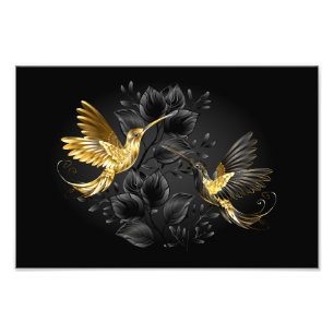Impression Photo Colibri noir et or