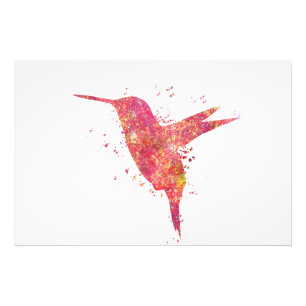 Impression Photo Colibri Oiseaux Forêt Sauvage Nature Monde Terre V