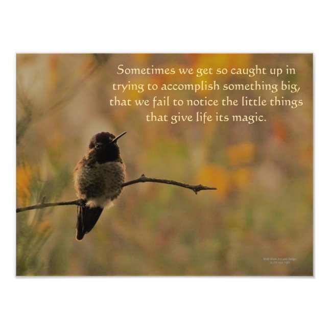 Impression Photo Colibri Sur Branche Couleurs Chaudes Jaunes Vert (Devant)