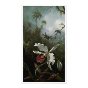 Impression Photo Colibris et orchidée blanche de Martin J. Heade