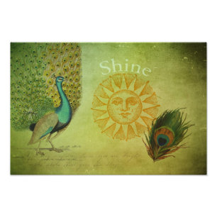 Impression Photo Collage d'art Peacock vintage