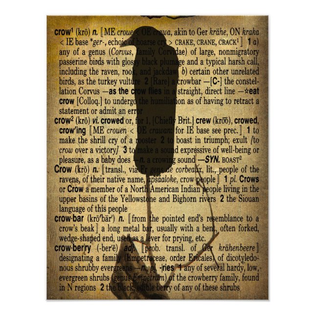 Impression Photo Collage Old Crow (Devant)