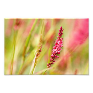 Impression Photo coloris
