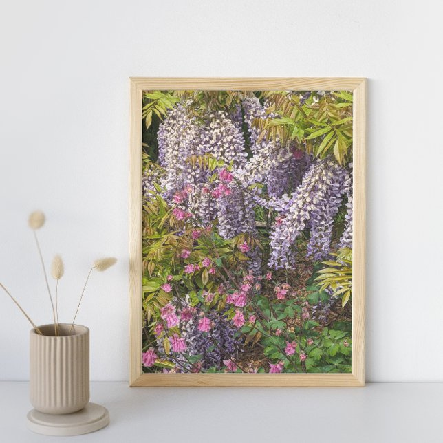 Impression Photo Coloumbine rose et purple glycine Floral (In Situ)
