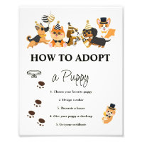 Comment Adopter Un Signe De Chiot