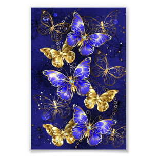 Impression Photo Composition avec papillons Sapphire