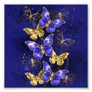 Impression Photo Composition avec papillons Sapphire