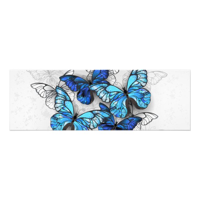 Impression Photo Composition de papillons blancs et bleus (Devant)