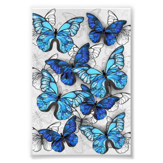 Impression Photo Composition des White and Blue Butterflies (Devant)