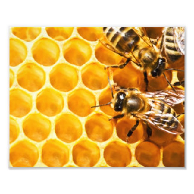 Impression Photo Conception de motif en nid d'abeilles et abeilles (Devant)