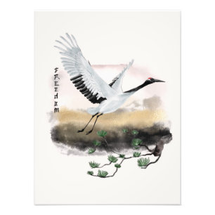 Impression Photo Conception Okinawa Series 12