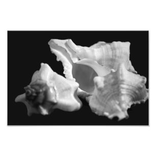 Impression Photo Conche en noir et blanc