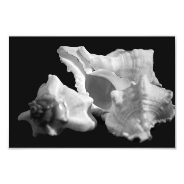 Impression Photo Conche en noir et blanc (Devant)