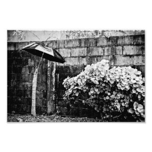 Impression Photo contre la pluie