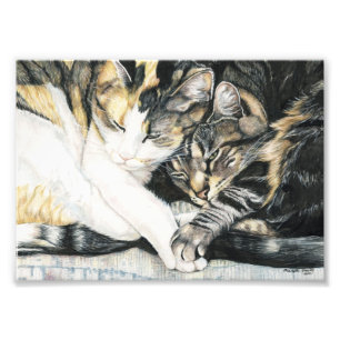 Impression Photo Copie d'art de caresse de chat