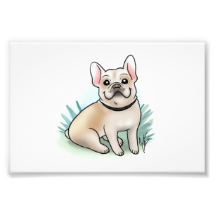Impression Photo Copie de bouledogue français