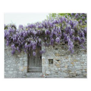 Impression Photo COPIE - glycine Viviers France