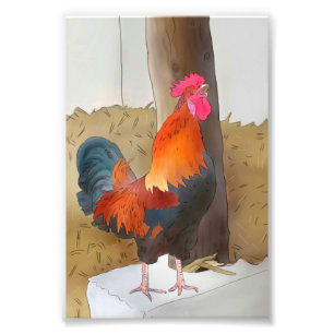 Impression Photo Coq chantant