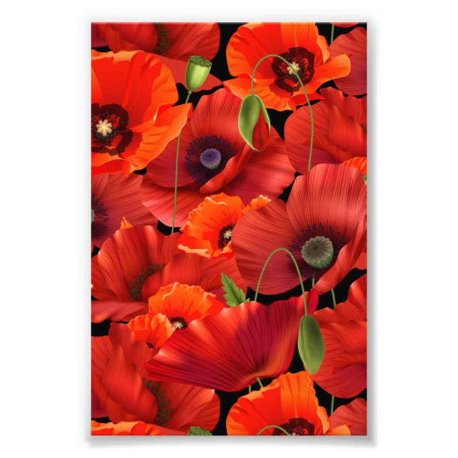 Impression Photo Coquelicot (Devant)