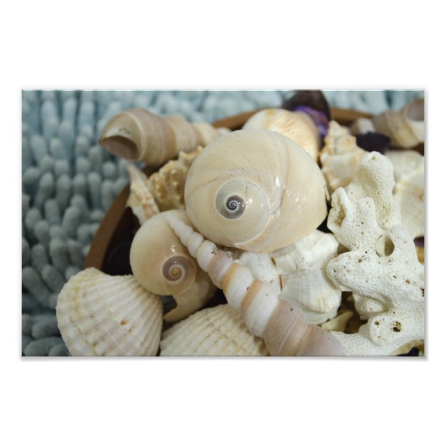 Impression Photo Coquillages ! (Devant)