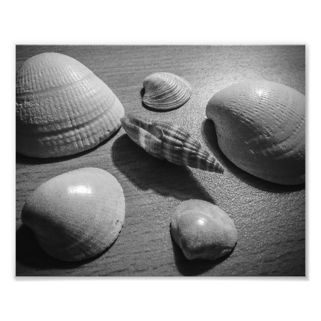Impression Photo Coquillages (Devant)