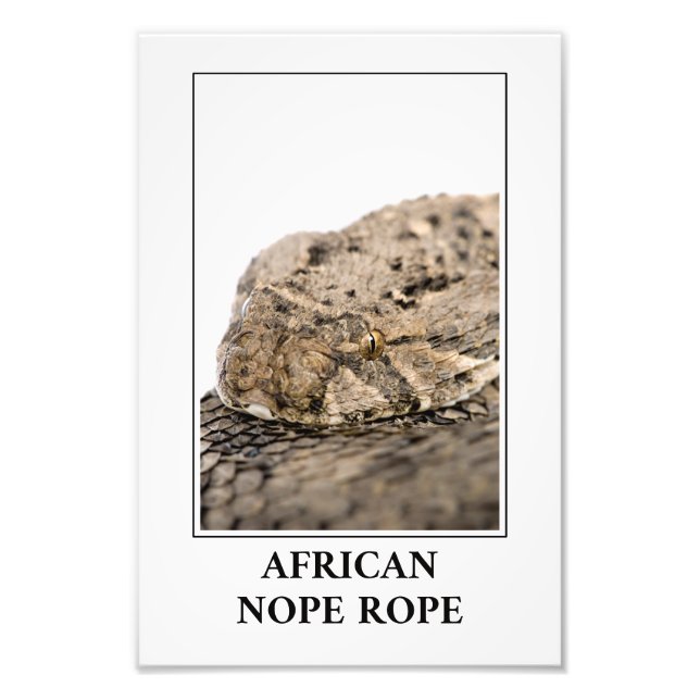 Impression Photo Corde Africaine Nope - Puff Adake Danger (Devant)